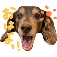 Choco's voice