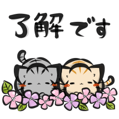 "kanji" cat set (Spring)