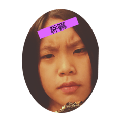 晴和貓咪的日常