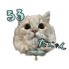Ruru_20230412090811