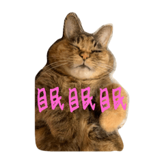 SHIHO_20230412124334