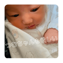 tsumuchan no nichijo