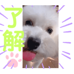 SHIHO_20230412133832