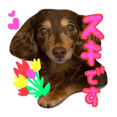 Wato_20230411162819