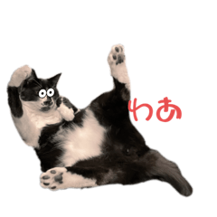 Wwwww_20230411195809