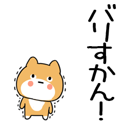 inuhakatainu2