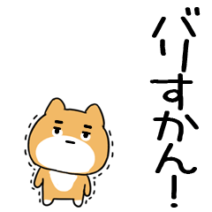 inuhakatainu8