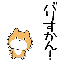 inuhakatainu3
