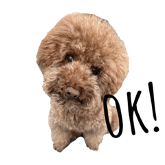 Saori_20230411195349