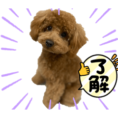 Hikaruurei