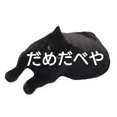 MICHIKO_20230412162353