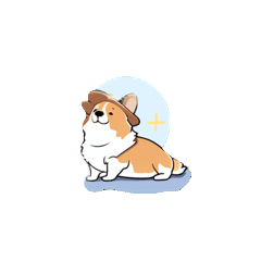 CORGI'S LIFE STYLE