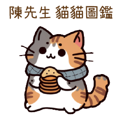 Mr. Chen Cat Guide