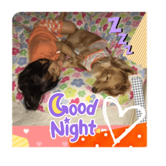 HANA_20230412150540