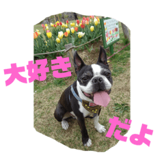 junko_20230413072416