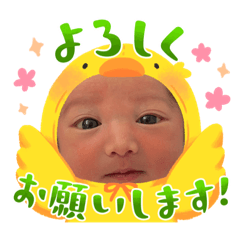 shiho_20230413074041