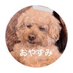 kana_20230413090322