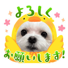 Hana_20230412195134