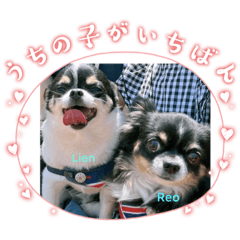 shiho_20230412225631