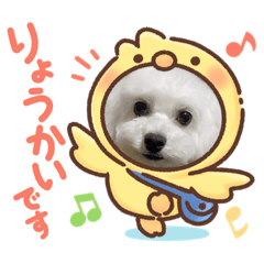 SHIHO_20230413102223