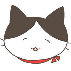 HachiwareKutushita cat