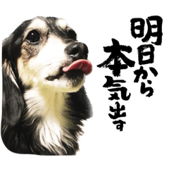 nao_20230413115927