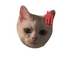 AlicE_20230413133246