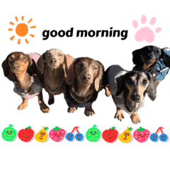 --yukaina-nakamatachi--