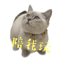 嗯哼咪基一起玩 – LINE貼圖 | LINE STORE