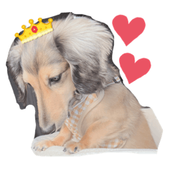 popouru_20230413163504