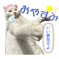 rin.neko_20230413164137