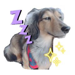 popouru_20230413165248