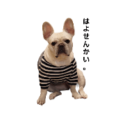 pochimaru_20230413184506