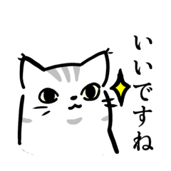 Japanese KEIGO CAT