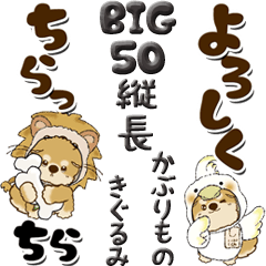 【Big】ちゃちゃ丸 50『縦長』着ぐるみ(2)