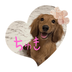 shiho_20230413224538