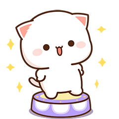 Peach Cat 14