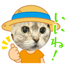 rikako14_20230413220712