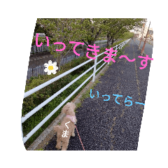 miyoko_20230413223547