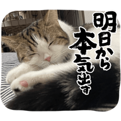 kana_20230414125724