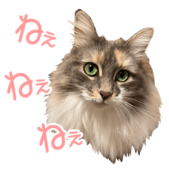 Cat's FUKU-chan sticker  Part2 resale.