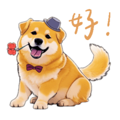 Shiba Inu-PUIPUI