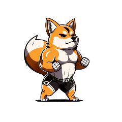 Muscle Shiba Inu dog