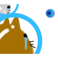 Moon probe of the cat