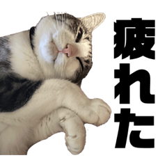 AOZORA_20230414150410