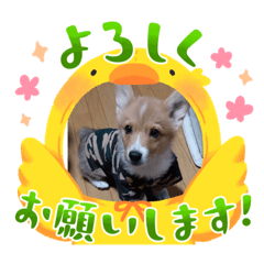 Tom_20230414145539