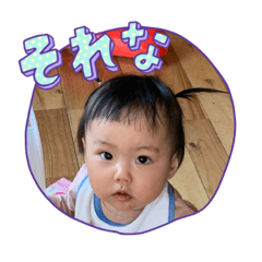 koto_20230414153646