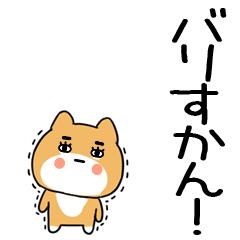 inuhakata33