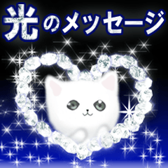 Shiny message-white cat