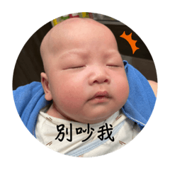 柯少少